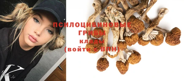 винт Киренск