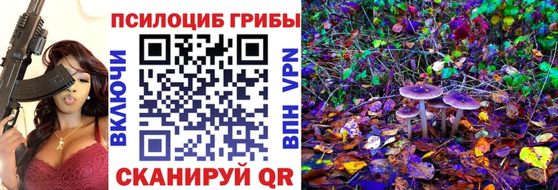 Псилоцибиновые грибы Psilocybine cubensis  где купить   KRAKEN сайт  Туран 